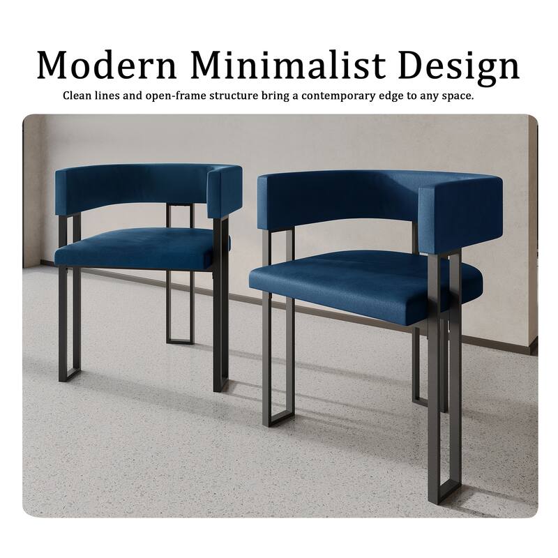 CraftPorch 2 Pieces Contemporary Dining Chair Set