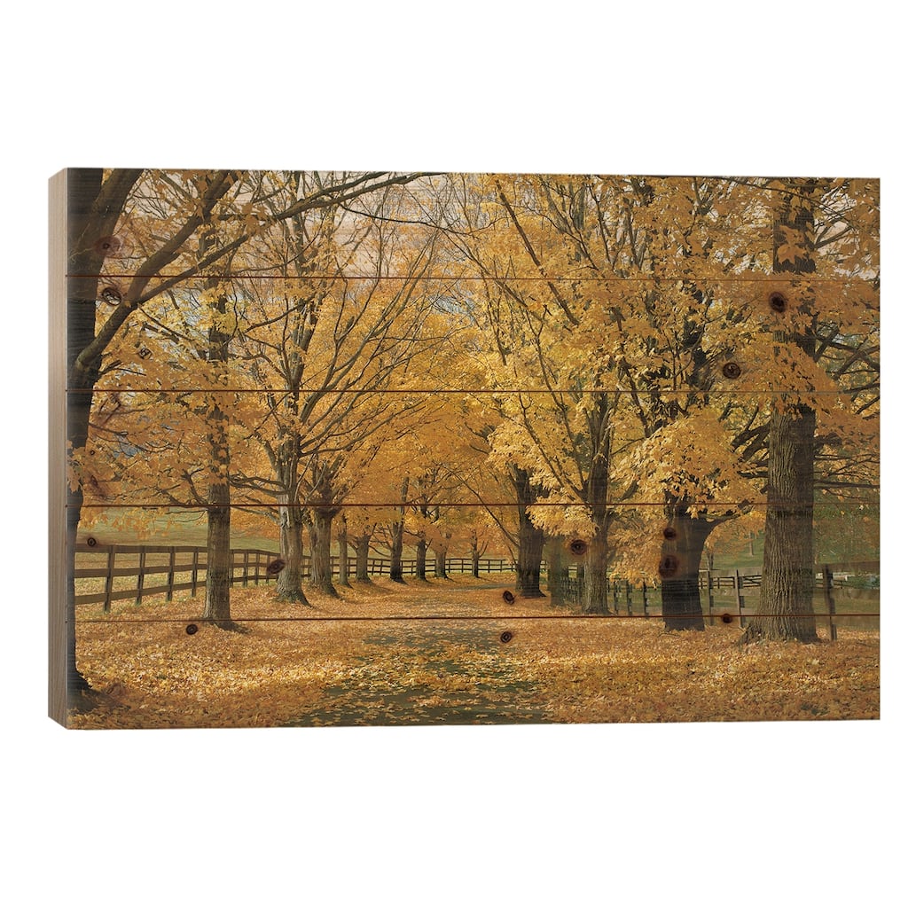 Autumn Trees Near Waynesboro, Virginia, USA Print On Wood by Panoramic Images - Multi-Color