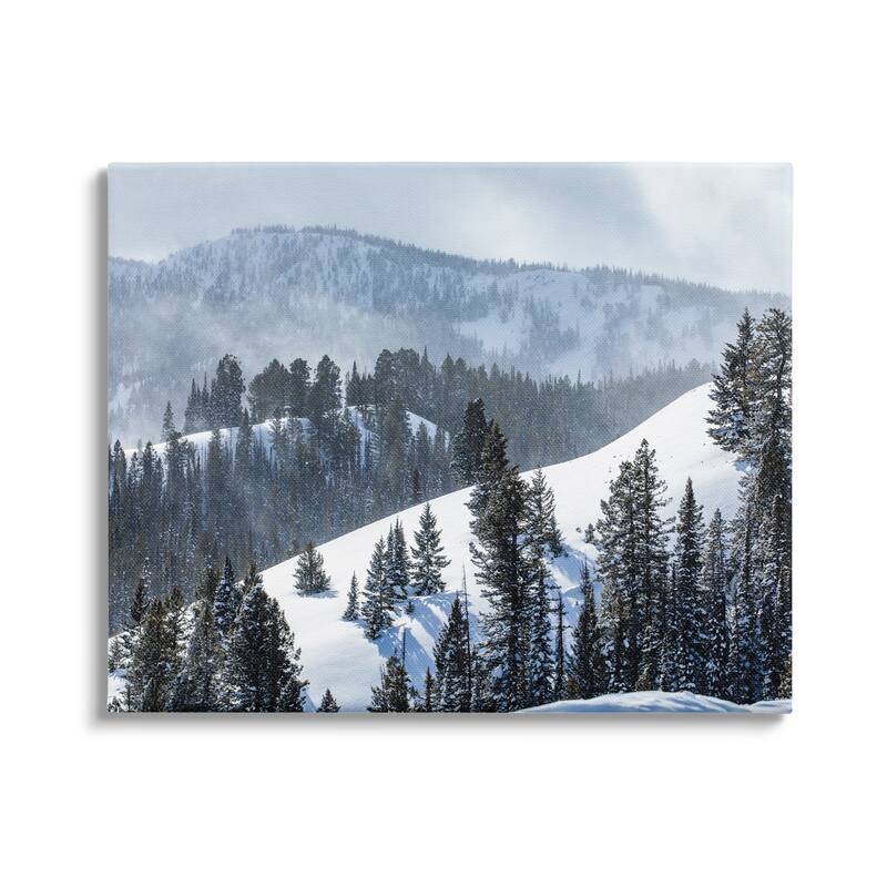 Stupell Quiet Snowy Mountain Slopes Scattered Fir Trees Canvas Wall Art, Design by Steve Smith - 40 x 30