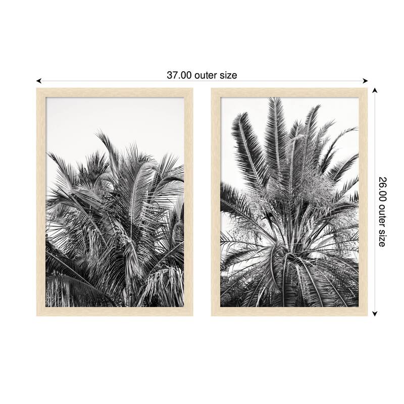 Kate and Laurel Palm No. 13 & 15 2 Piece Framed Wall Art Print Set by Alicia Bock