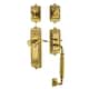 Option Lifetime Brass