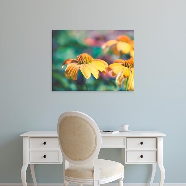 Easy Art Prints Sonja Quintero's 'Mellow Yellows II' Premium Canvas Art
