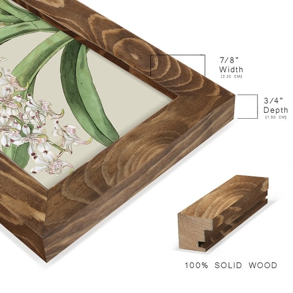 dimension image slide 12 of 15, Orchid Blooms I -Framed Print w/glass-Cherry Red