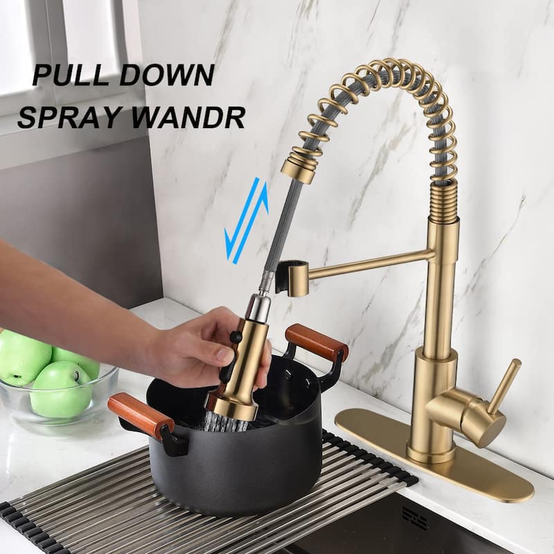DORNBERG Gold Pull Down Sprayer Spring Kitchen Sink Faucet