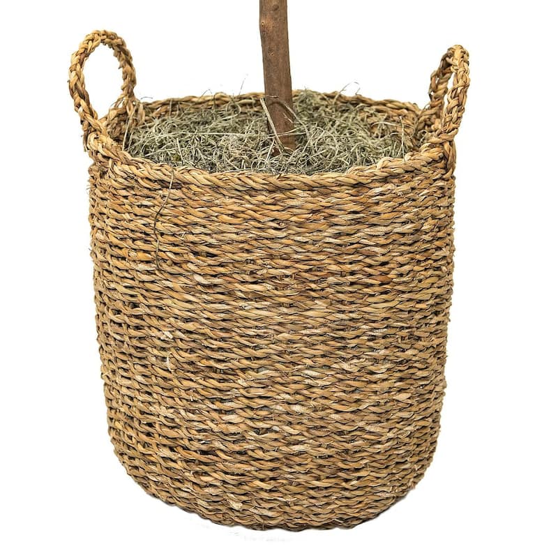 5-foot Artificial Fig Tree in Handled Basket