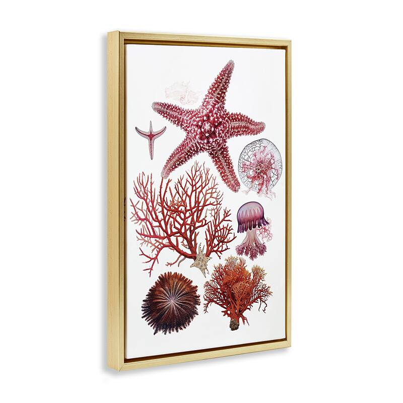 Stupell Rosy Undersea Creatures Framed Floater Canvas Wall Art Design By Ramona Murdock
