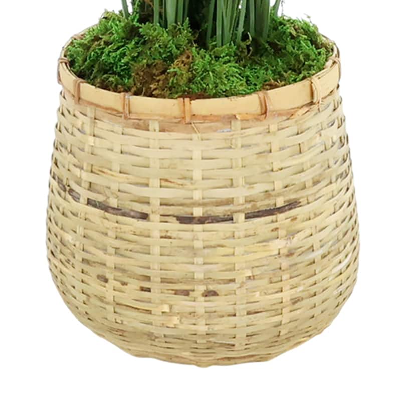 Grass in Bamboo Planter - 38