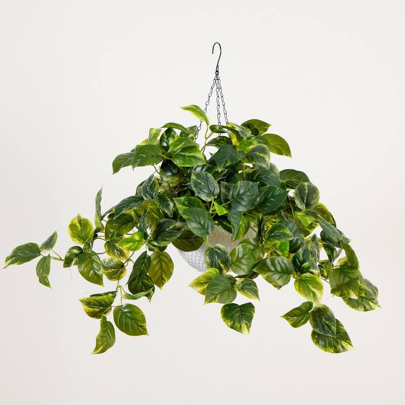 Pre-Lit Pothos Artificial Plant - 24" - Warm White LED Lights
