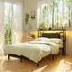 preview thumbnail 44 of 82, Headboards with Storage Shelves, Head Board with Power Outlet and LED Light for Bed Frame