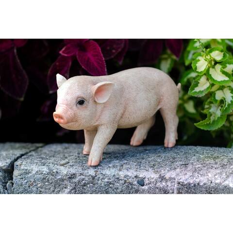 Standing Baby Pig