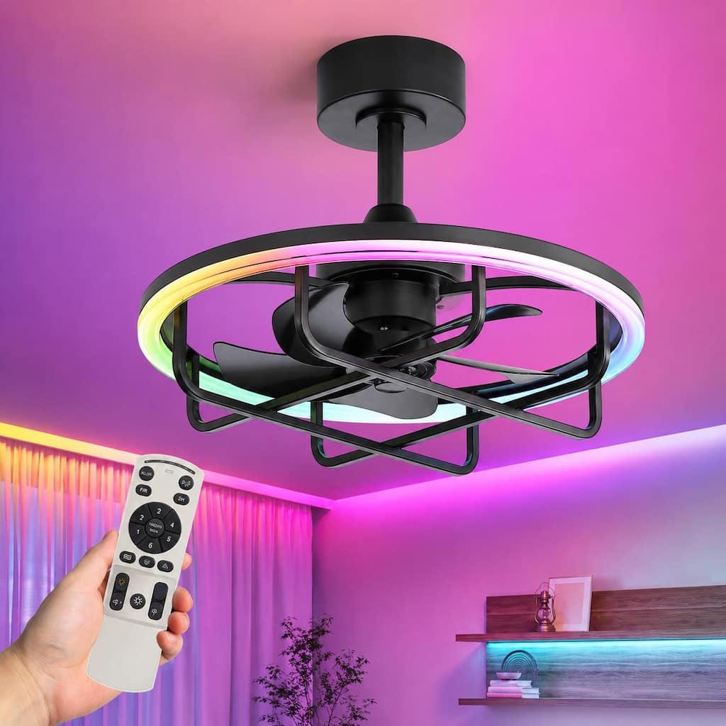 20 in. Caged LED Ceiling Fan with Light, Remote, 5 Blades