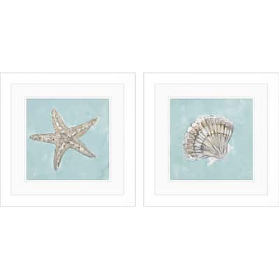Seashell B S/2 Framed Art Under Glass