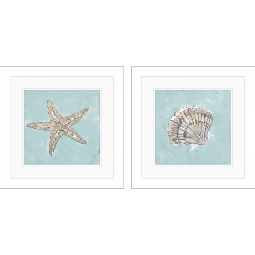 Seashell B S/2 Framed Art Under Glass