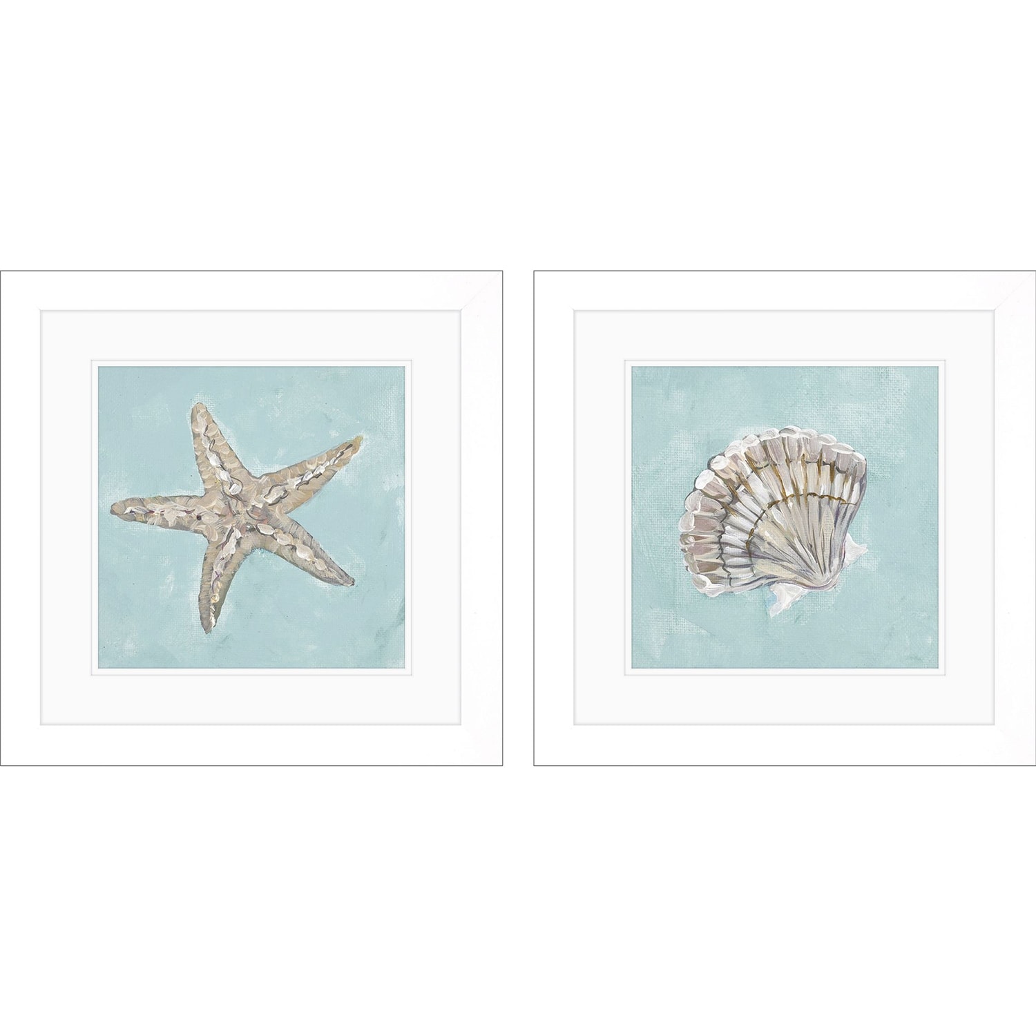 Seashell B S/2 Framed Art Under Glass