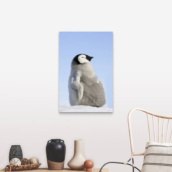 Shop Emperor Penguin Canvas Wall Art Overstock 16444474