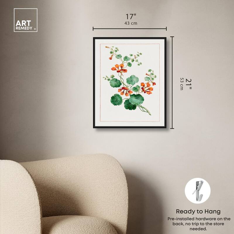 Nasturtium (1788) Canvas by Art Remedy