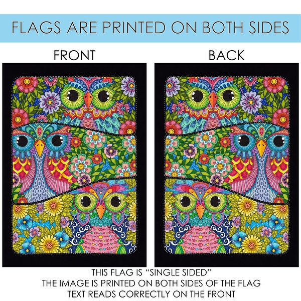 秋山花　「THE 3 BIRDS AND A FLAG」 pascua-yaqui-tribe-of-arizona-