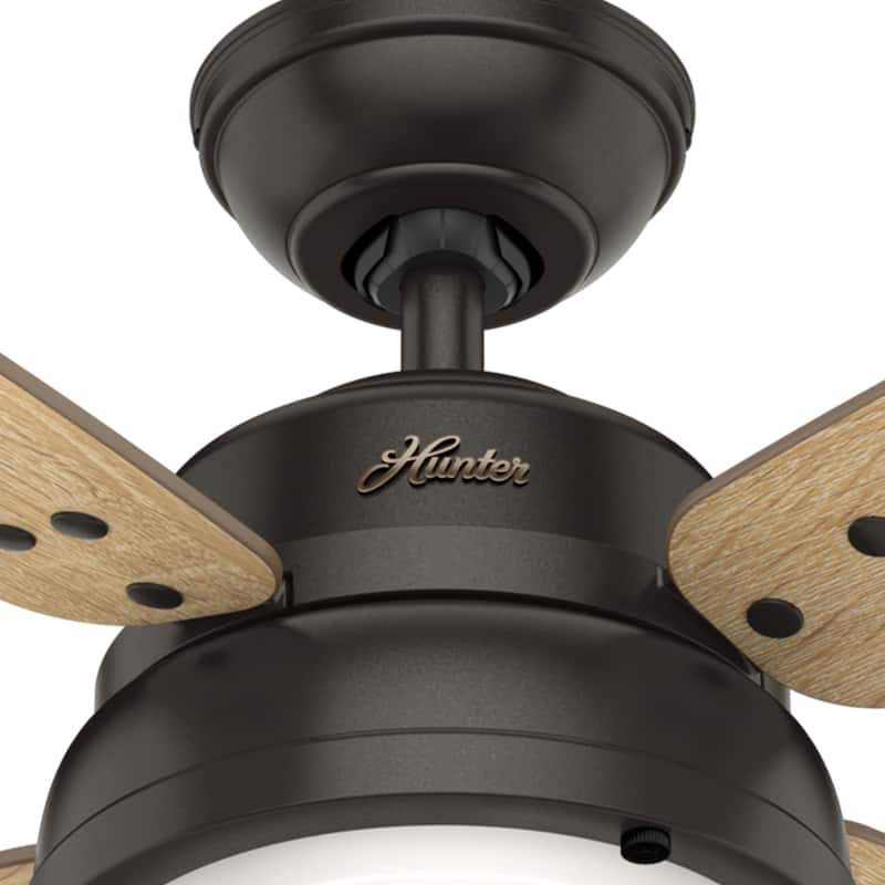 Hunter 52" Wingate Ceiling Fan with LED Light Kit and Handheld Remote - Transitional, Coastal