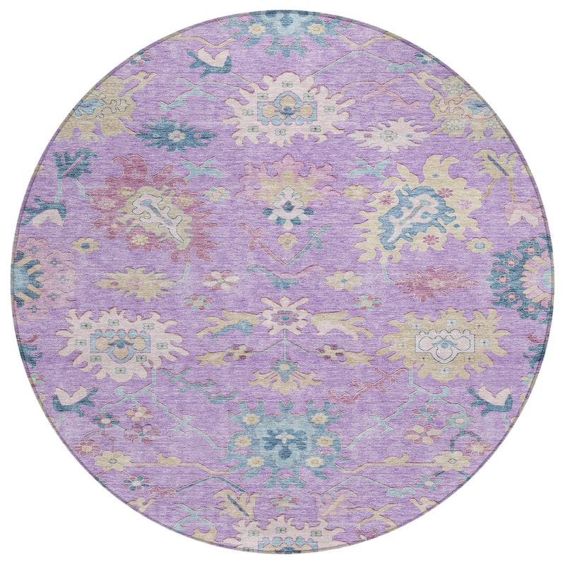 Machine Washable Indoor/ Outdoor Causal Traditional Chantille Rug