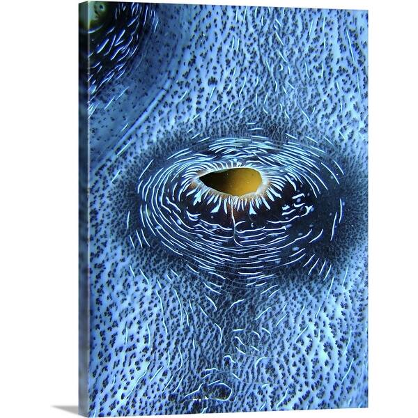Heart Of Giant Clam On Outer Reef Of Great Barrier Reef Queensland Australia Canvas Wall Art Overstock 21003195