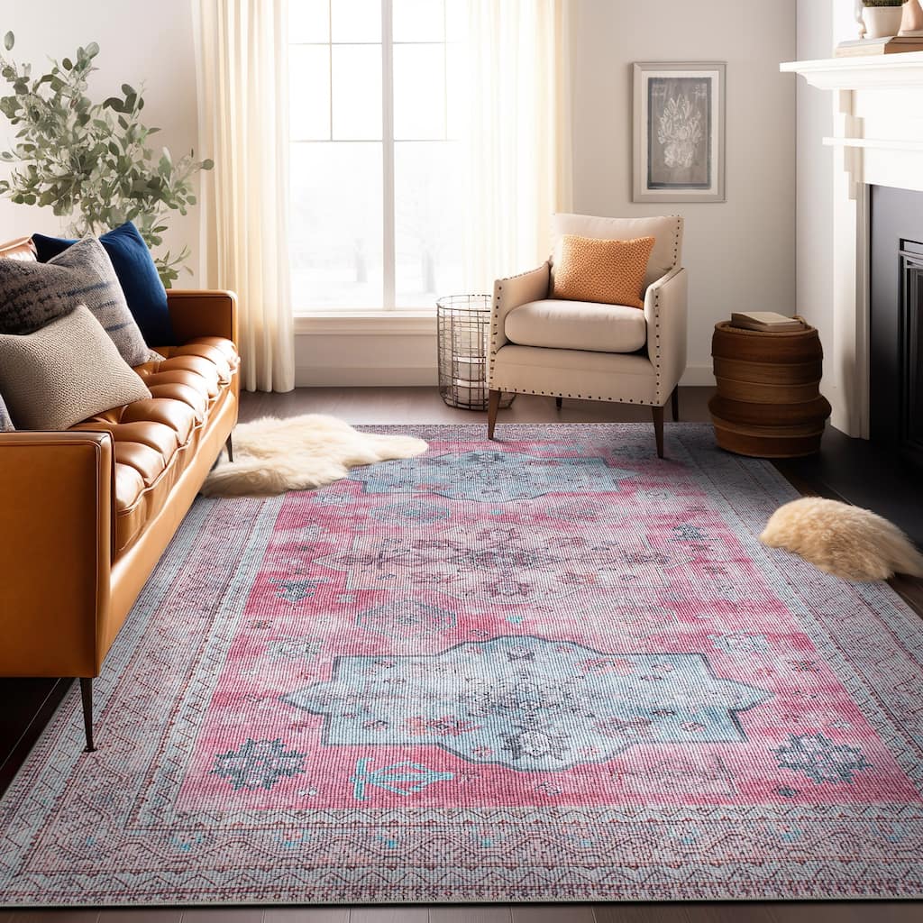 Distressed Transitional Bohemian Area Rug