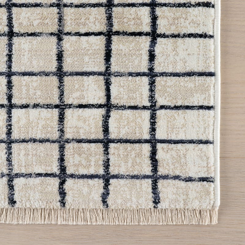 Nuloom Calethe Modern Checkered Area Rug
