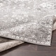 preview thumbnail 13 of 33, Livabliss Reimes Distressed Traditional Area Rug