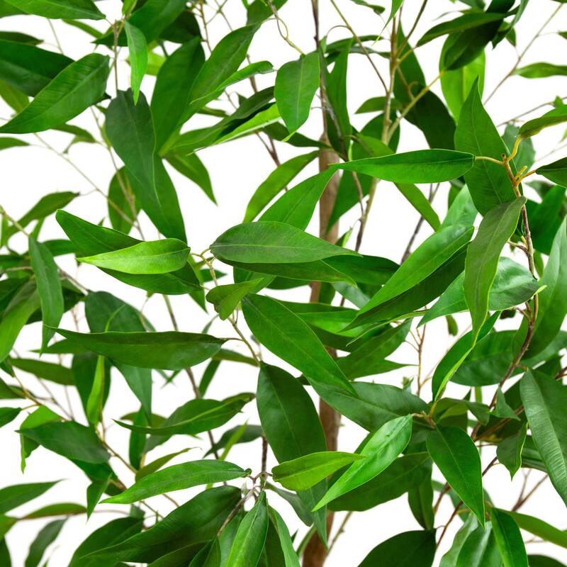 Long Leaf Greco Eucalyptus Artificial Potted Tree - 7'