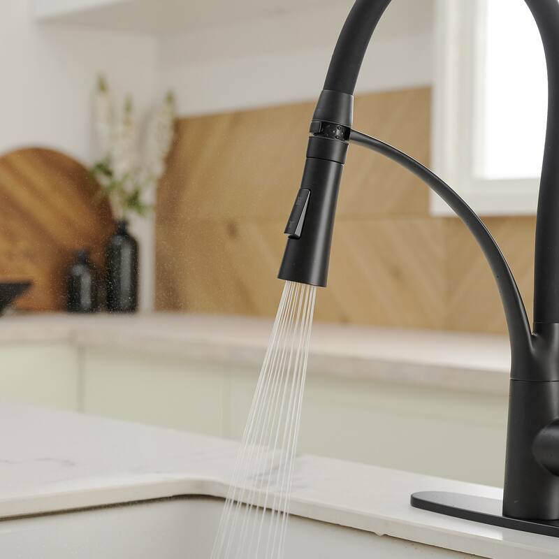 WIZ Single-Handle Pull-Down Sprayer 2 Spray High Arc Kitchen Faucet