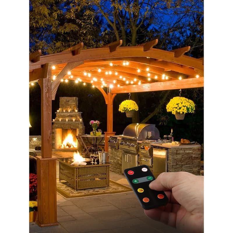 Brightech Ambience Pro 2 in. Dimmer for All Ambience Pro Indoor/Outdoor Plug-In String Lights (1-Pack) - Classic Black