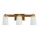 preview thumbnail 5 of 14, Robert Stevenson Lighting Sullivan Park - Glass and Metal Vanity Light