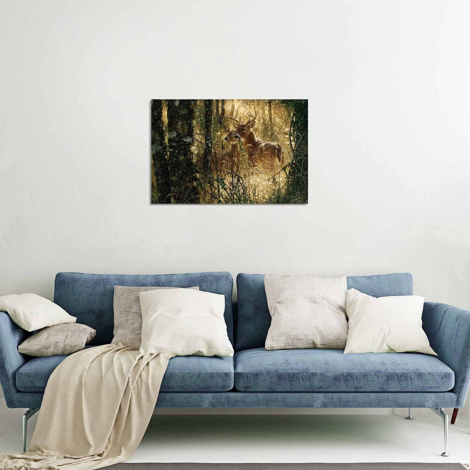 A Golden Moment - Whitetail Deer, Horizontal Print On Acrylic Glass by ...