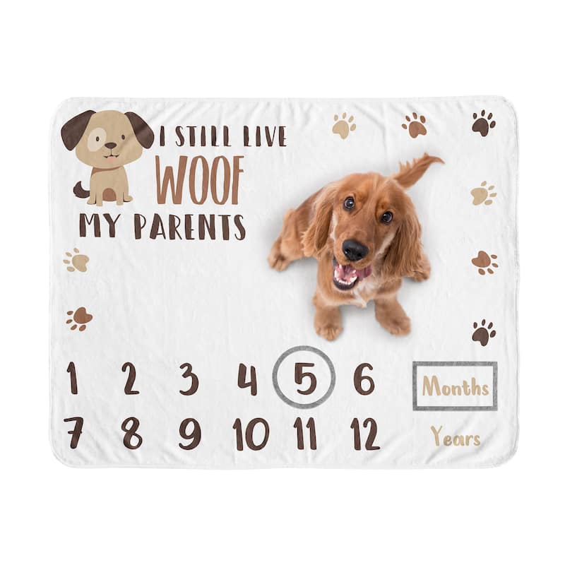 Sweet Jojo Designs Brown and White Doggy Collection Dog Birthday Puppy Milestone Blanket Taupe Paw Print Party Animal Pet Woof
