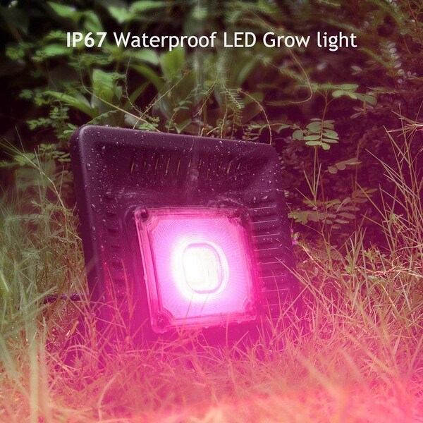 Outdoor 50W Waterproof Led Grow Light Pink Black Bed Bath