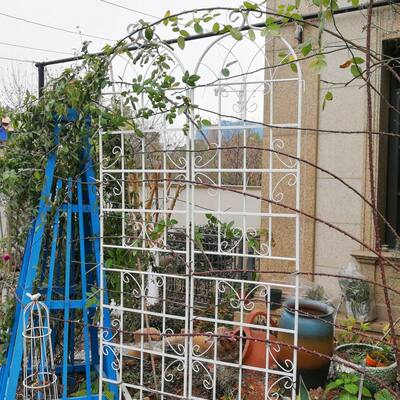 White Metal Garden Rustproof Trellis for Climbing Plants (2 Pack)