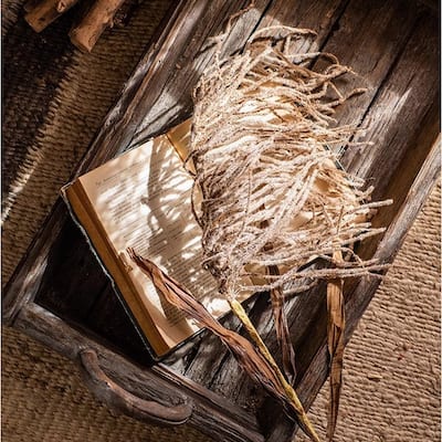 RusticReach Tall Reed Branch Stem 29" Tall