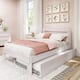 Option White Wash
