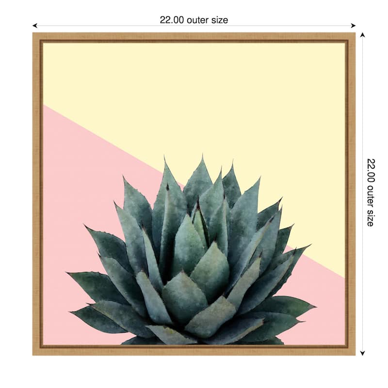 Agave 04 by Amini54 Framed Canvas Wall Art Print - Sylvie Natural - 22 x 22 in