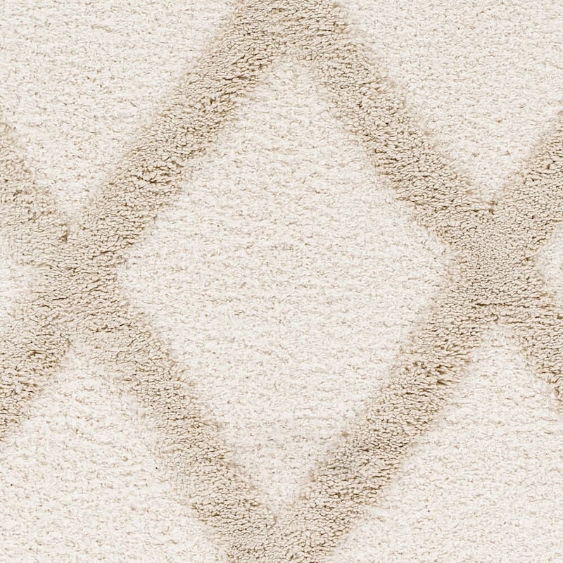 Mr. Kate Daphne Trellis High/Low Plush Area Rug