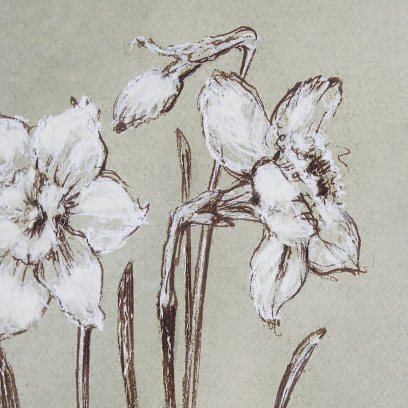 Botanical Sketch I (green)