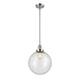 Option Polished Nickel / Seedy