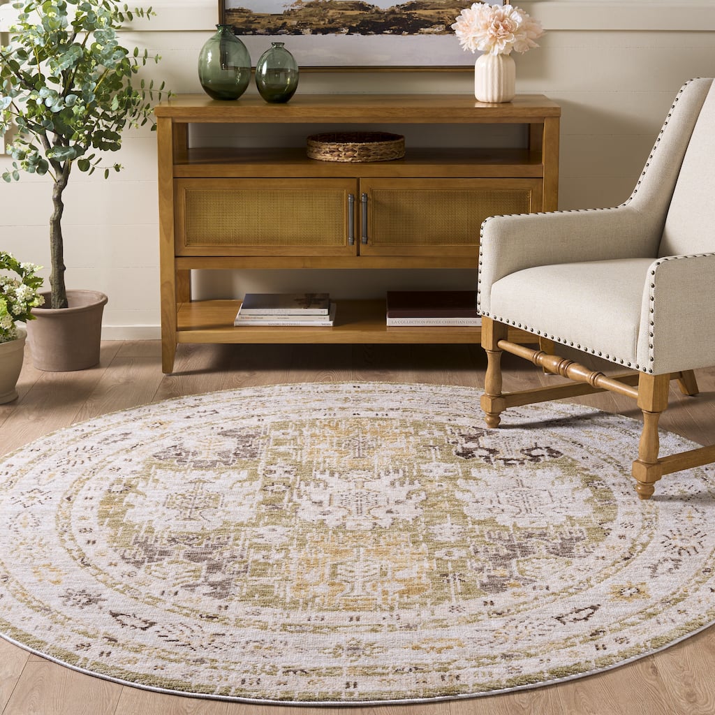 Martha Stewart by SAFAVIEH Chikage Boho Distressed Rug