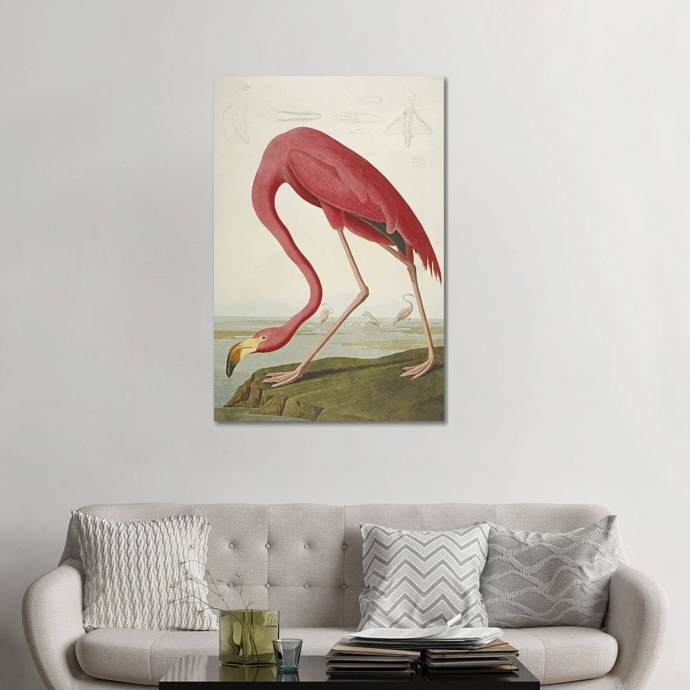 iCanvas 'American Flamingo' by John James Audubon Canvas Print