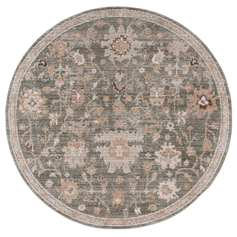SAFAVIEH Hazel Maibrit Traditional Oriental Rug