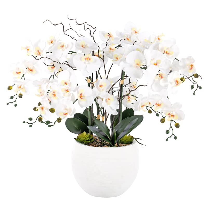 9 Stems Nearly Natural White Phalaenopsis Orchids with Succulents in White Magnesium Oxide Pot - 36.22" H x 35.43" W x 35.43" D