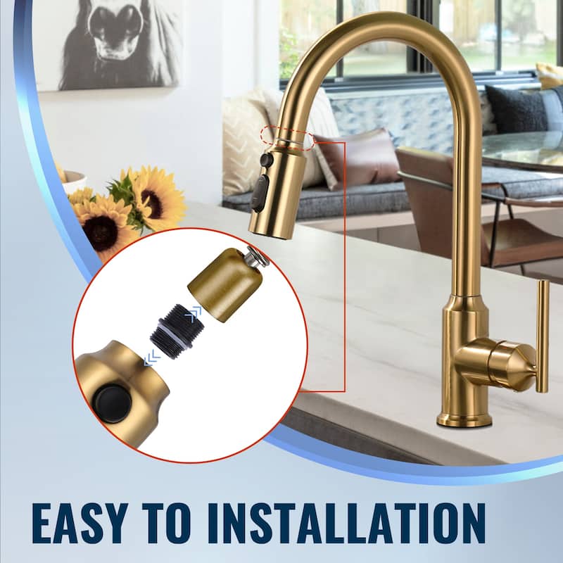 WOWOW Stainless Steel Pull Down Kitchen Faucet Sprayer with 9 Adapters
