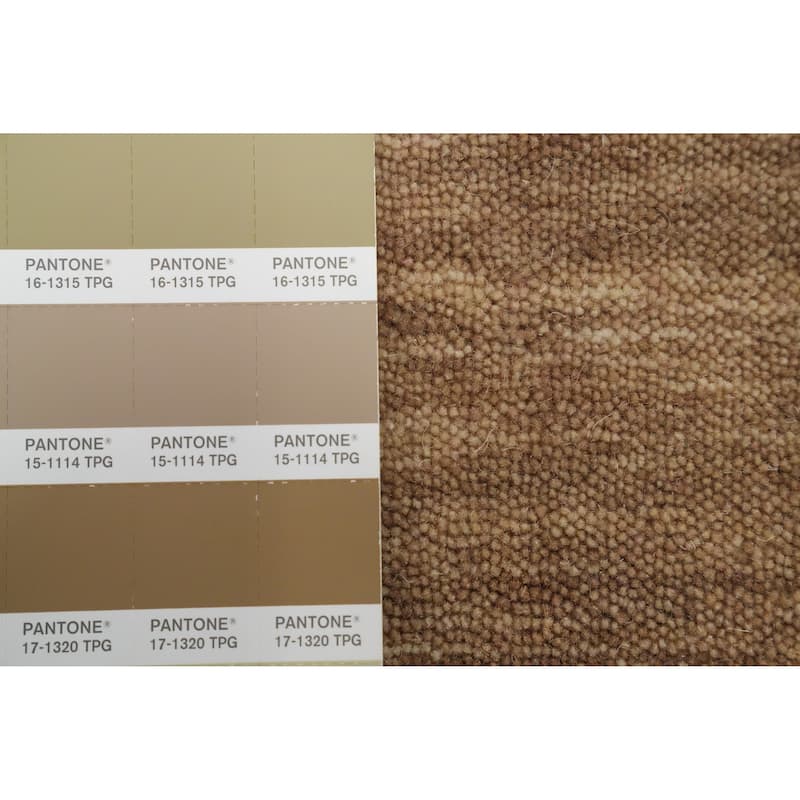 Hand Knotted Oriental 100% Wool Carpet Tribal Animal Pictorial Brown Gabbeh Area Rug - 8' 10'' X 6' 3''