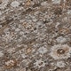 preview thumbnail 45 of 152, Machine Washable Indoor/ Outdoor Chantille Traditional Vintage Floral Rug