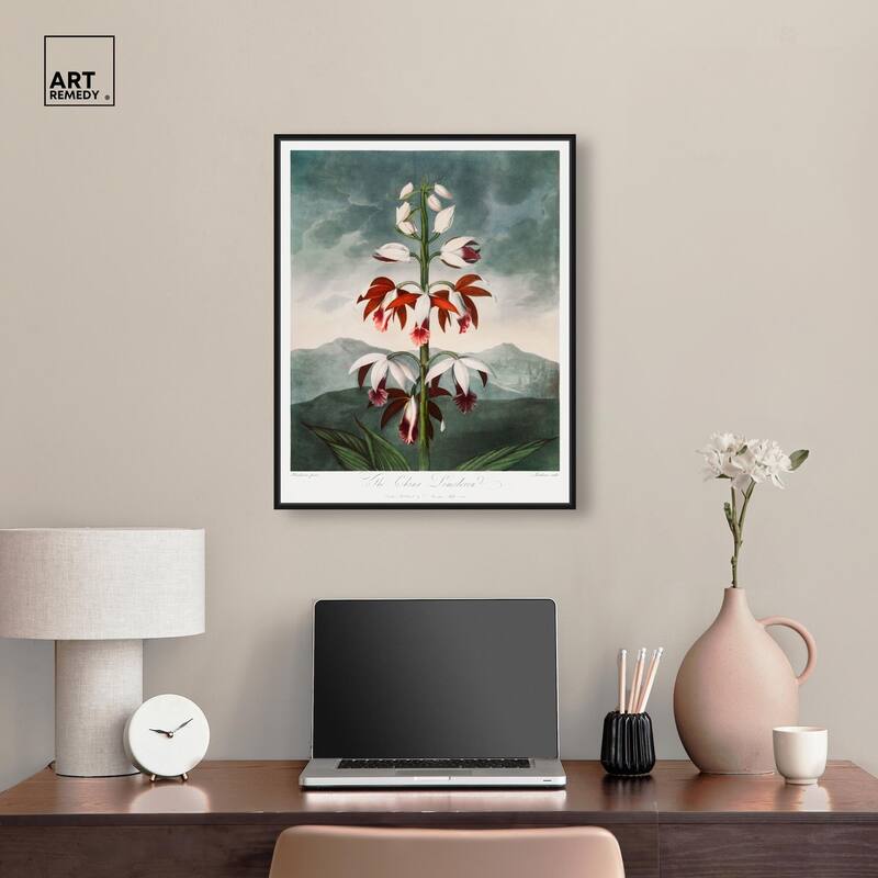 The China Limodoron 1807 Canvas by Art Remedy