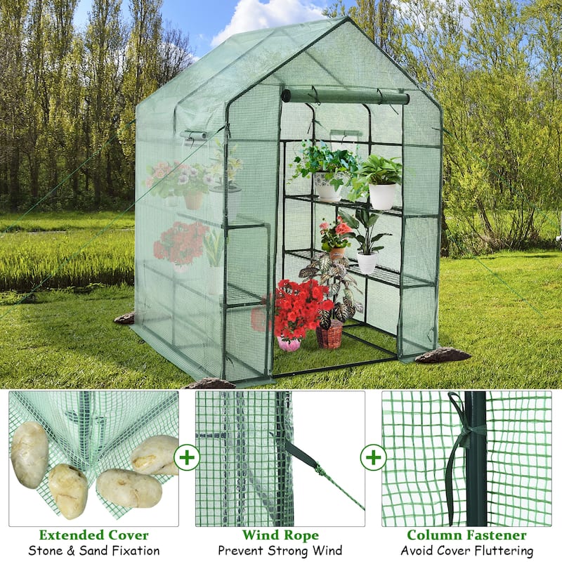 Walk-in Plant Greenhouse 56''x56''x77'' Garden Green House